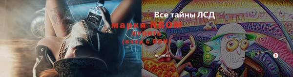 мяу мяу мука Михайловка